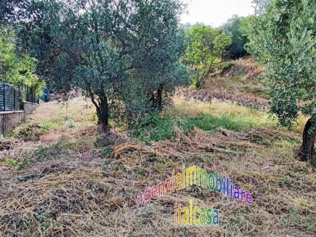 Terreno a Serravalle pistoiese - Foto 2