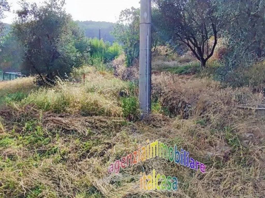 Terreno a Serravalle pistoiese - Foto 3