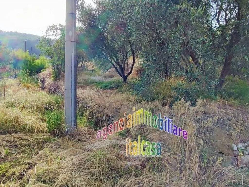 Terreno a Serravalle pistoiese - Foto 4