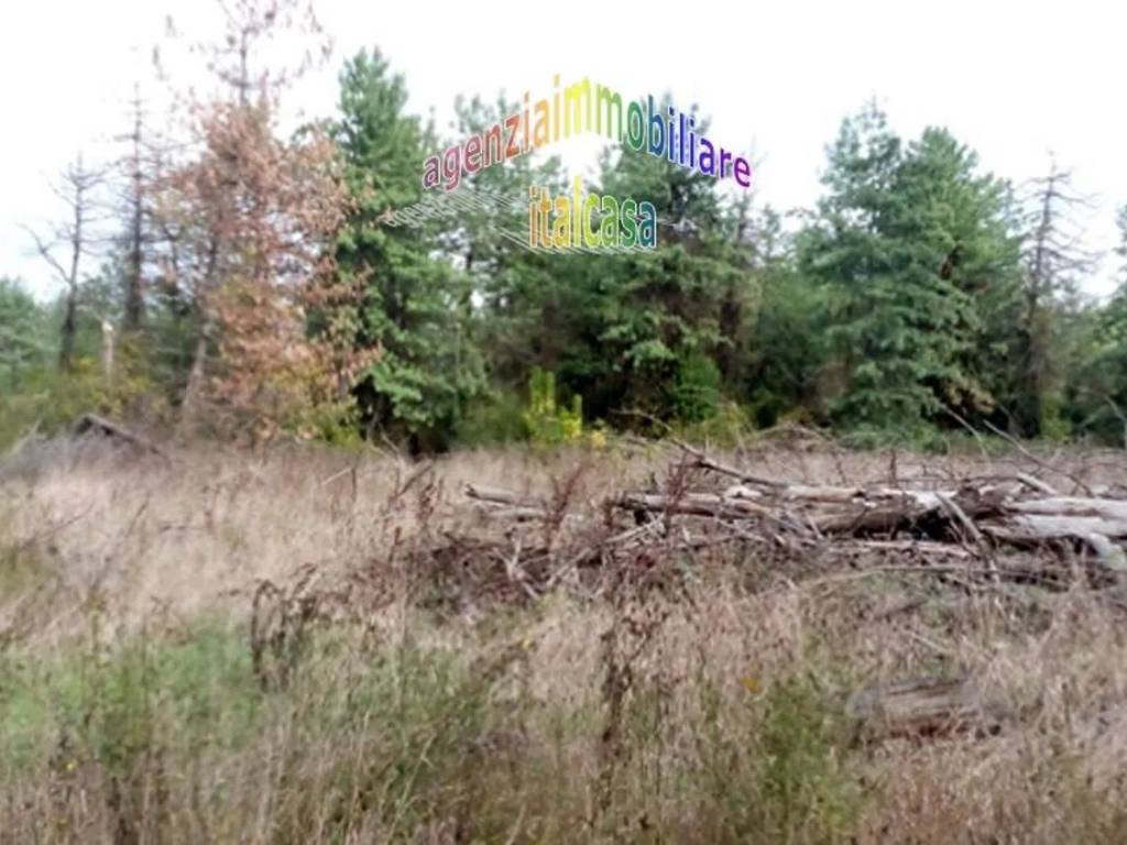 Terreno a Serravalle pistoiese - Foto 4