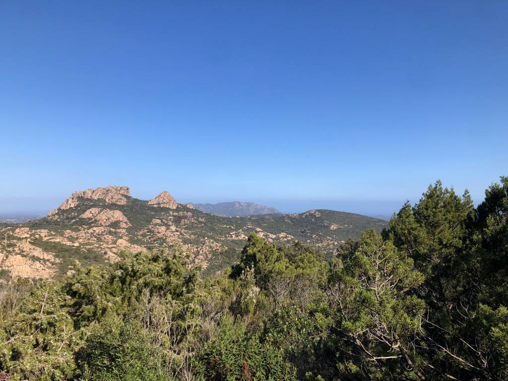 Rustico / casale a Arzachena - Foto 3