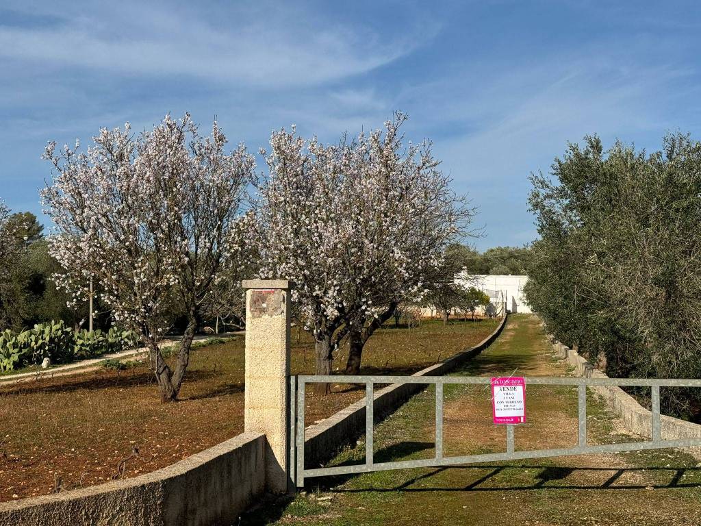 Villa a Ostuni in Contrada Sessana - Foto 2