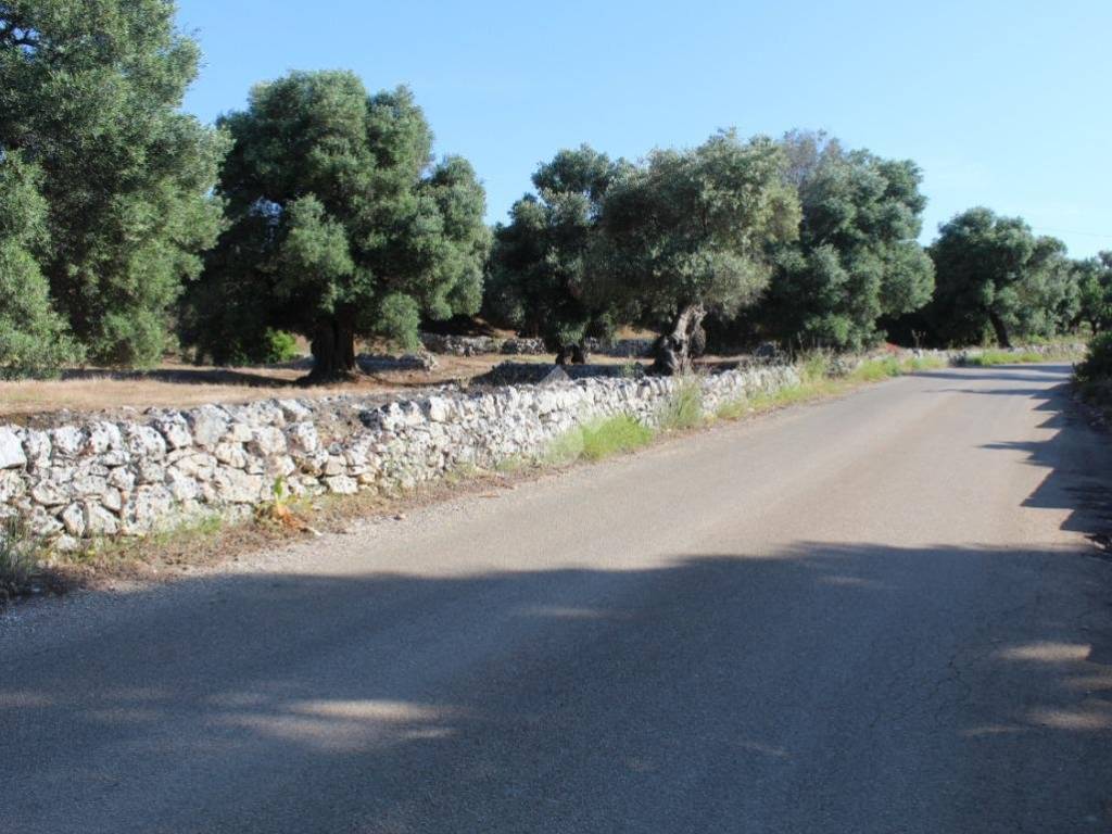 Rustico / casale a Carovigno in Contrada monti - Foto 4