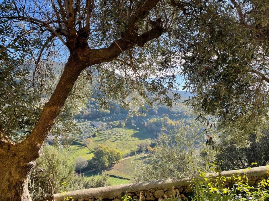 Casa indipendente a Casperia in Vicolo degli orti, 11 - Foto 3