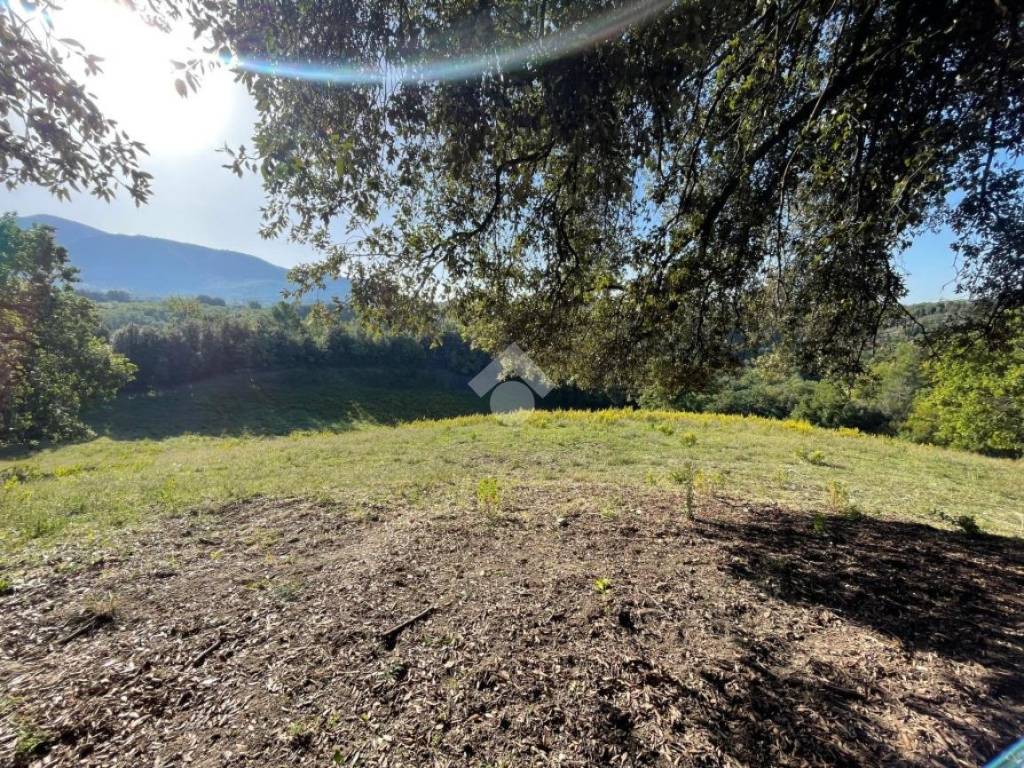 Terreno a Montasola in Via Colle Mola, 15 - Foto 2