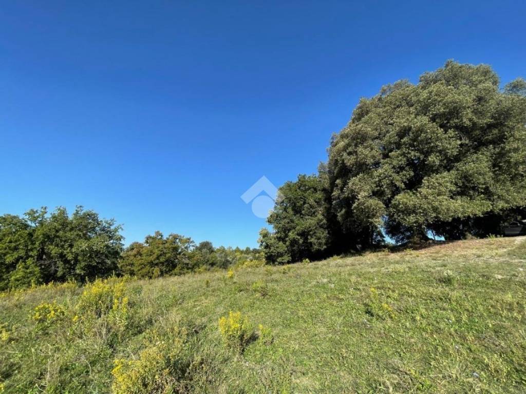 Terreno a Montasola in Via Colle Mola, 15 - Foto 3