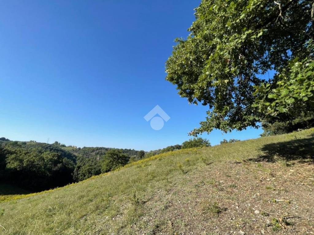 Terreno a Montasola in Via Colle Mola, 15 - Foto 5