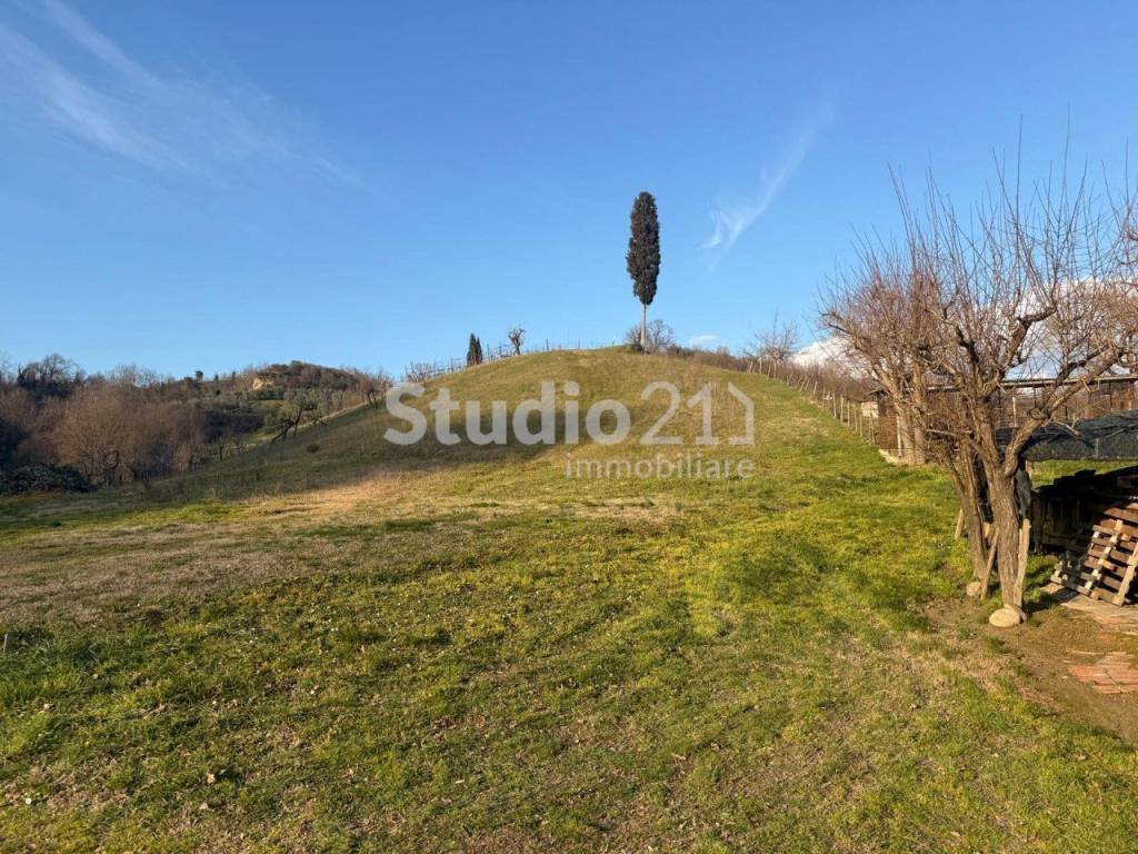 Rustico / casale a Castelfranco piandisco in botriolo - Foto 3