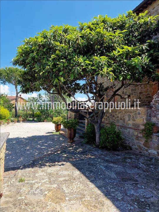 Rustico / casale a Sinalunga - Foto 3