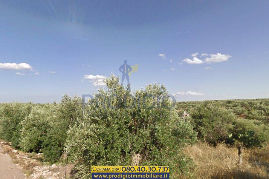 Terreno a Bisceglie - Foto 2