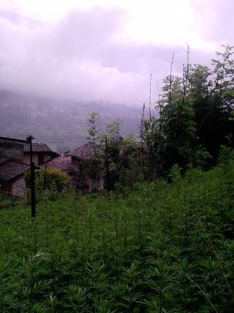 Casa indipendente a Pasturo - Foto 5