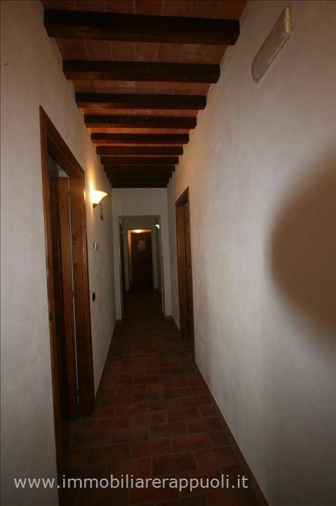 Rustico / casale a Sinalunga - Foto 2