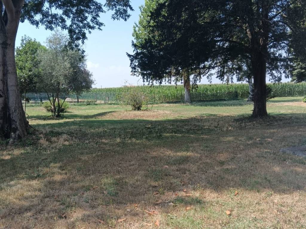 Villa a Conselice - Foto 3