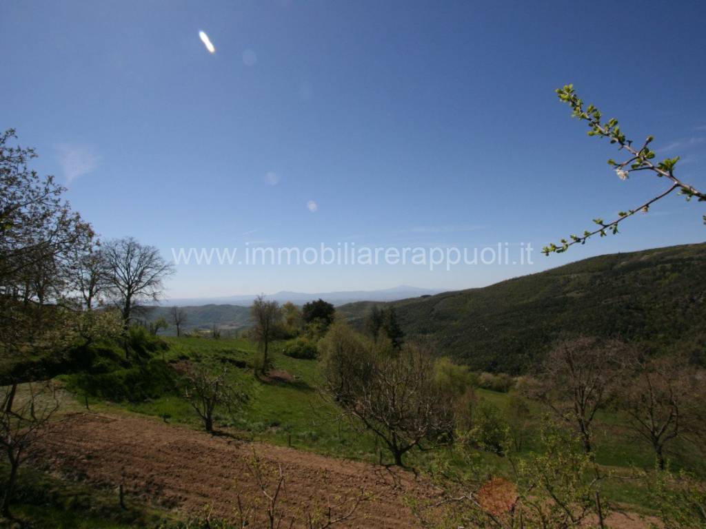 Rustico / casale a Cortona - Foto 3