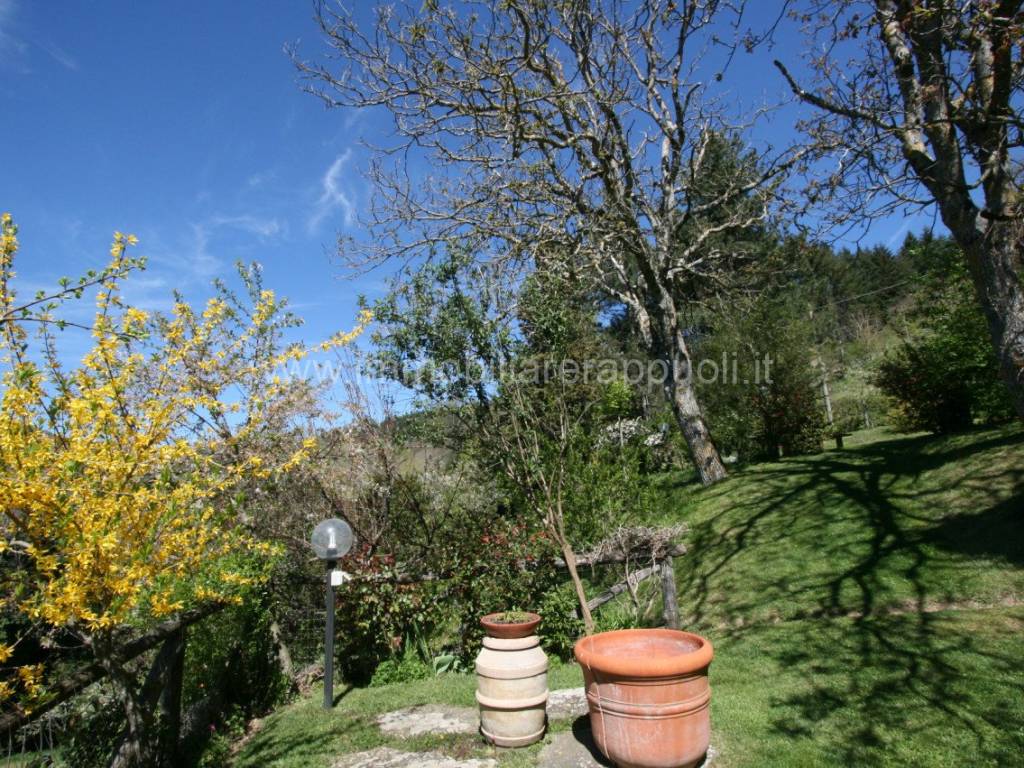 Rustico / casale a Cortona - Foto 4