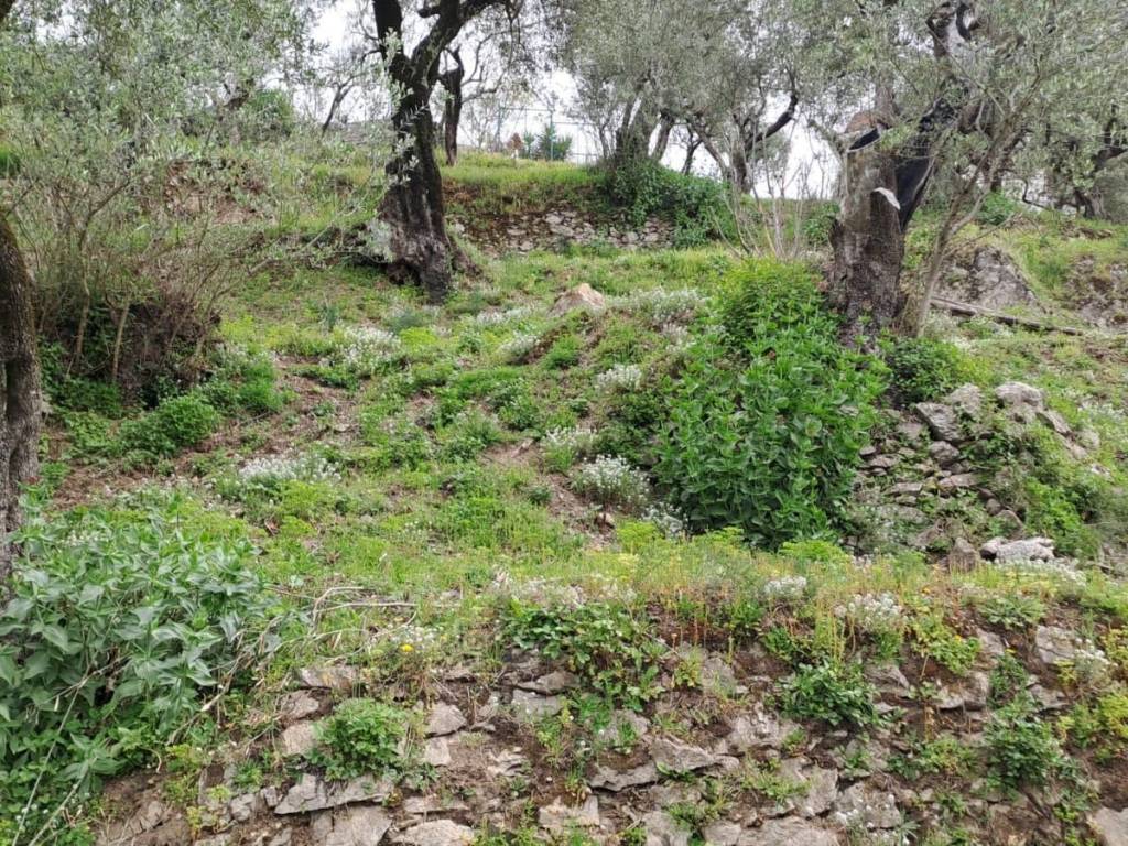Terreno a Pellezzano - Foto 2