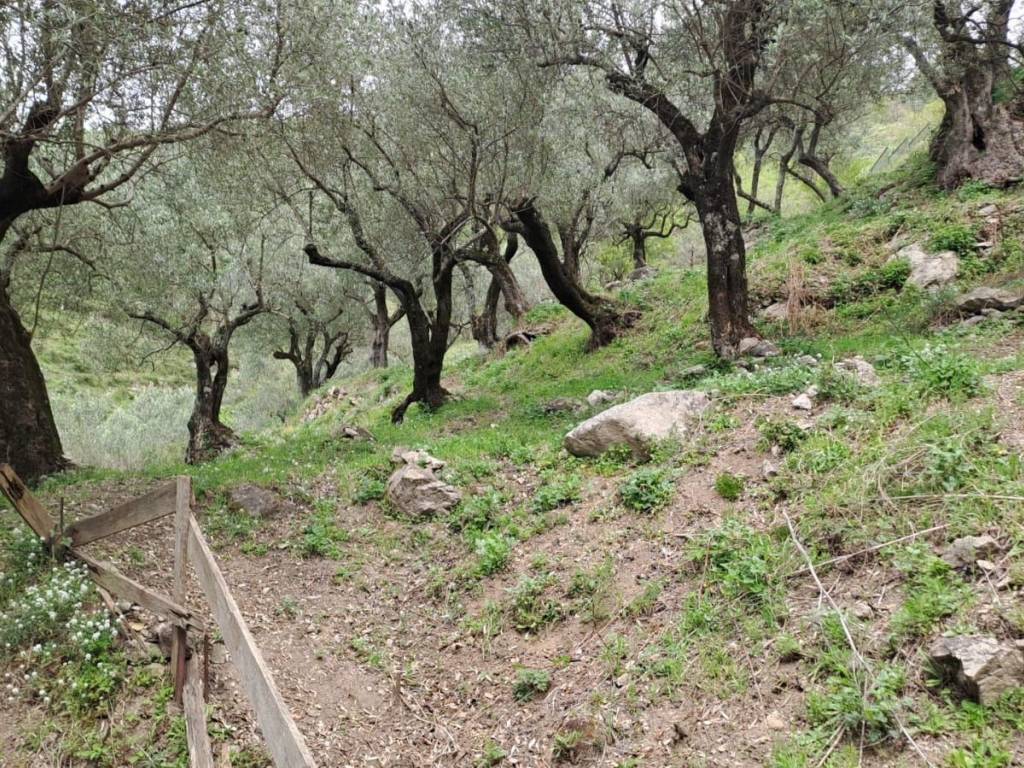 Terreno a Pellezzano - Foto 4