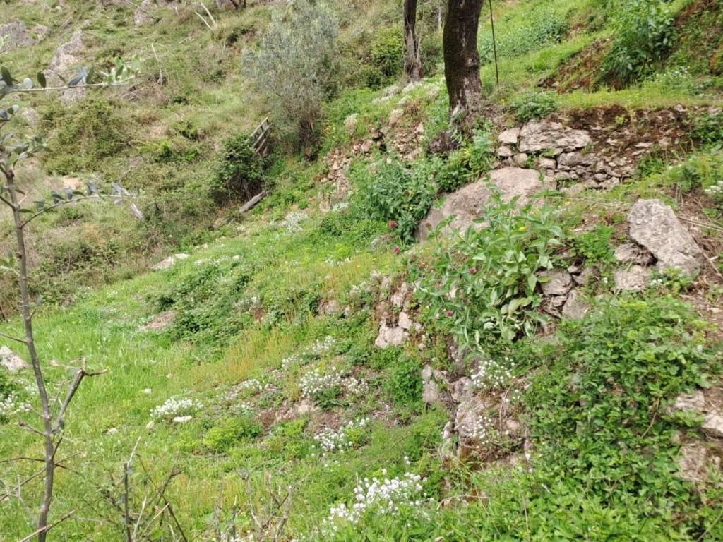 Terreno a Pellezzano - Foto 5