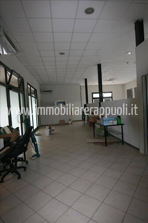 Immobile a Torrita di siena - Foto 5