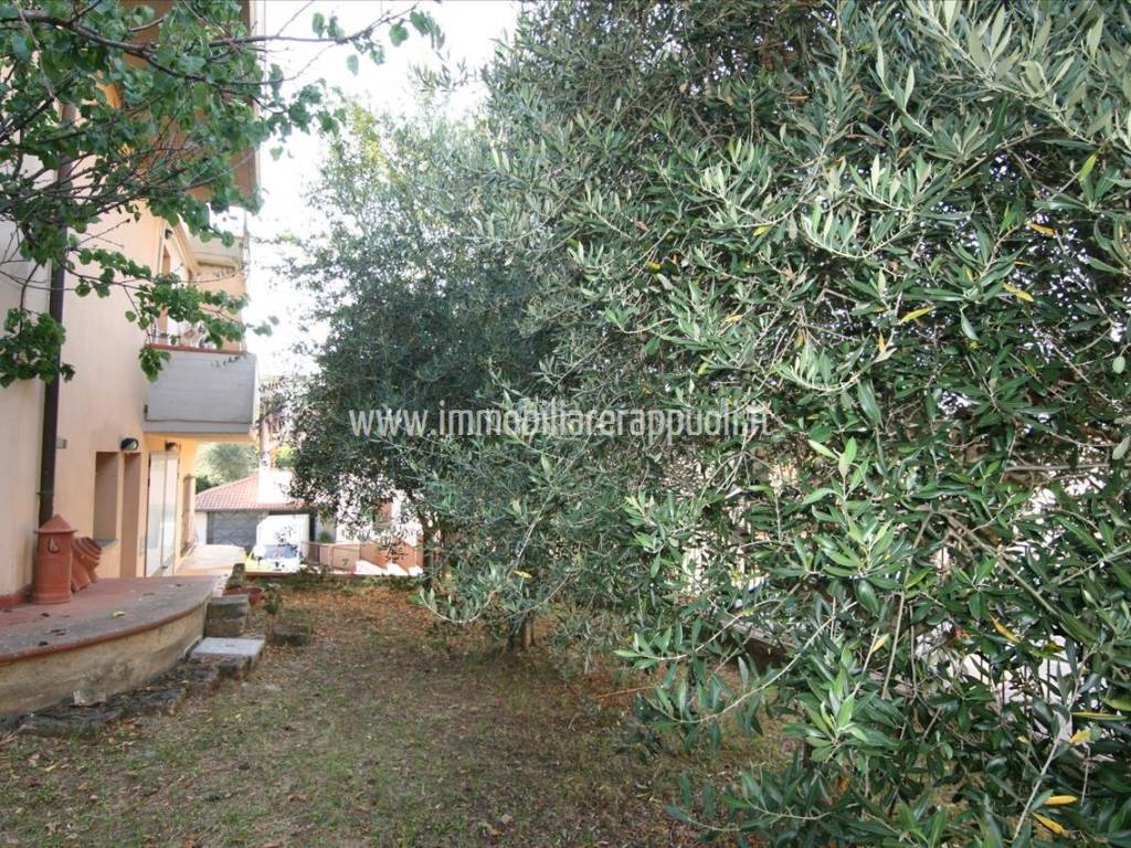 Appartamento a Sinalunga - Foto 3