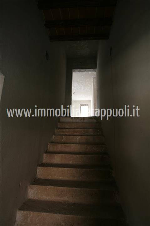 Casa indipendente a Sinalunga - Foto 2