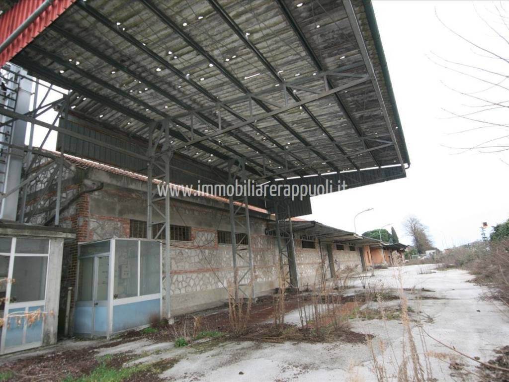 Immobile a Torrita di siena - Foto 5