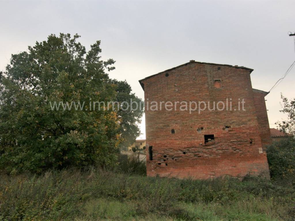 Rustico / casale a Torrita di siena - Foto 4