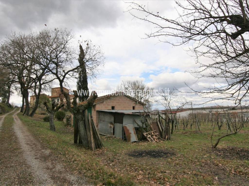 Rustico / casale a Sinalunga - Foto 2
