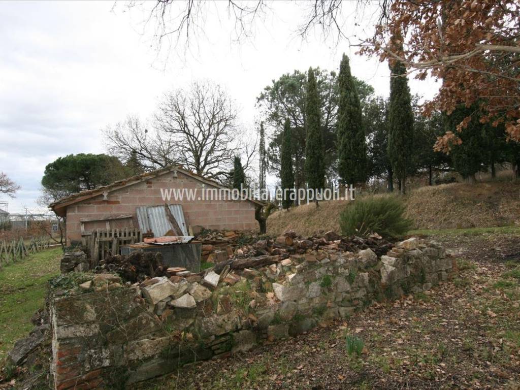 Rustico / casale a Sinalunga - Foto 3