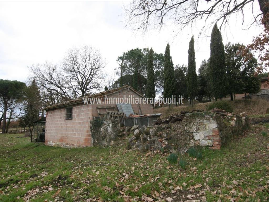 Rustico / casale a Sinalunga - Foto 4