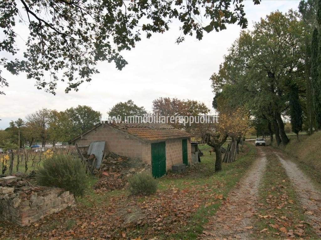 Rustico / casale a Sinalunga - Foto 5
