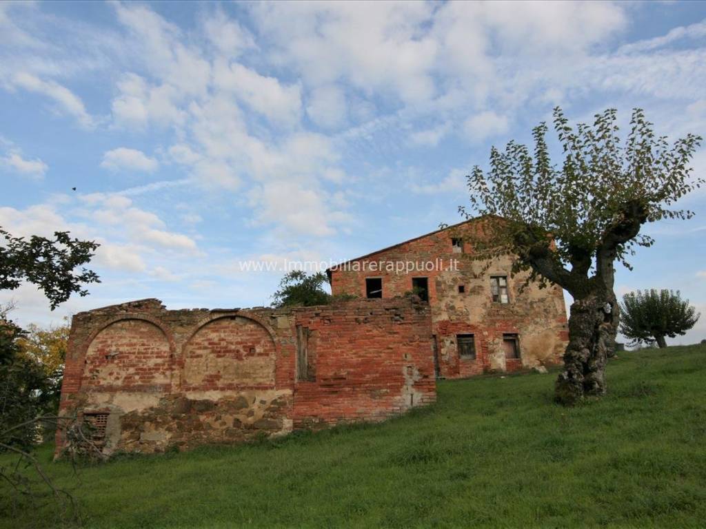 Rustico / casale a Sinalunga - Foto 3