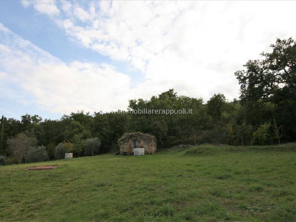 Rustico / casale a Sinalunga - Foto 5