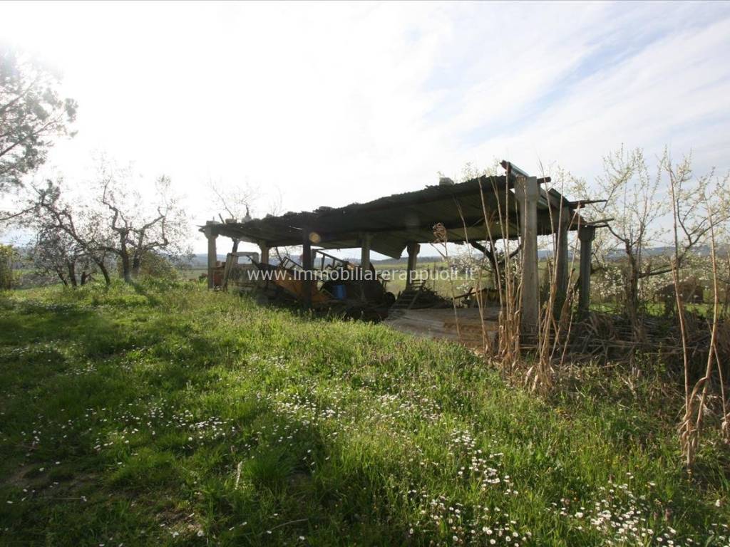 Rustico / casale a Torrita di siena - Foto 3