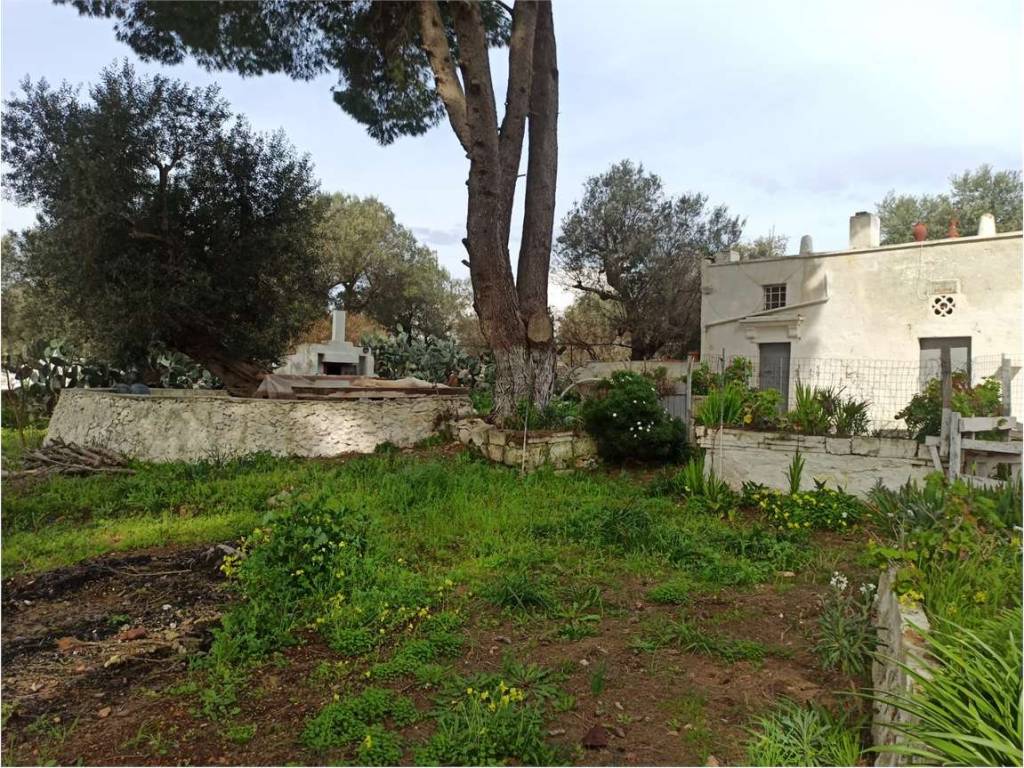 Appartamento a Carovigno - Foto 3