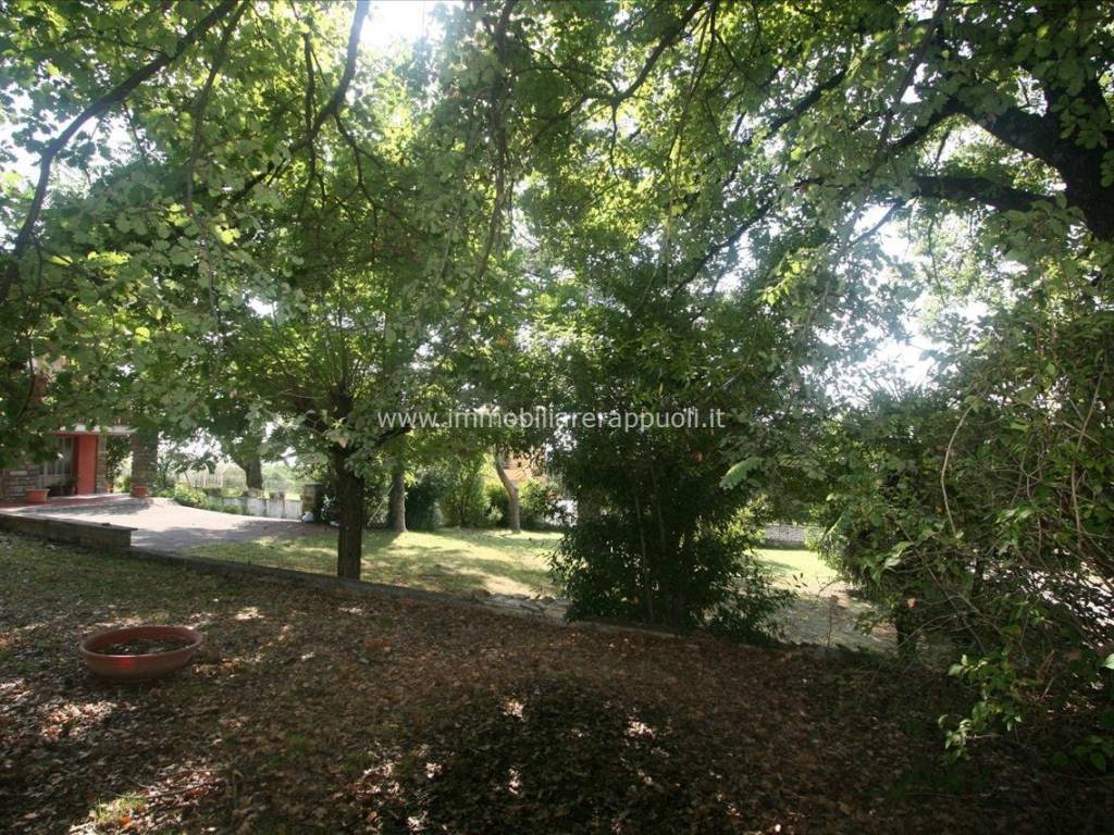 Casa indipendente a Lucignano - Foto 3