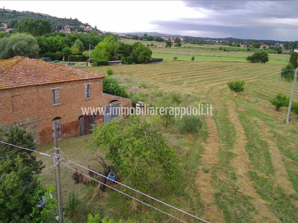 Rustico / casale a Sinalunga - Foto 4