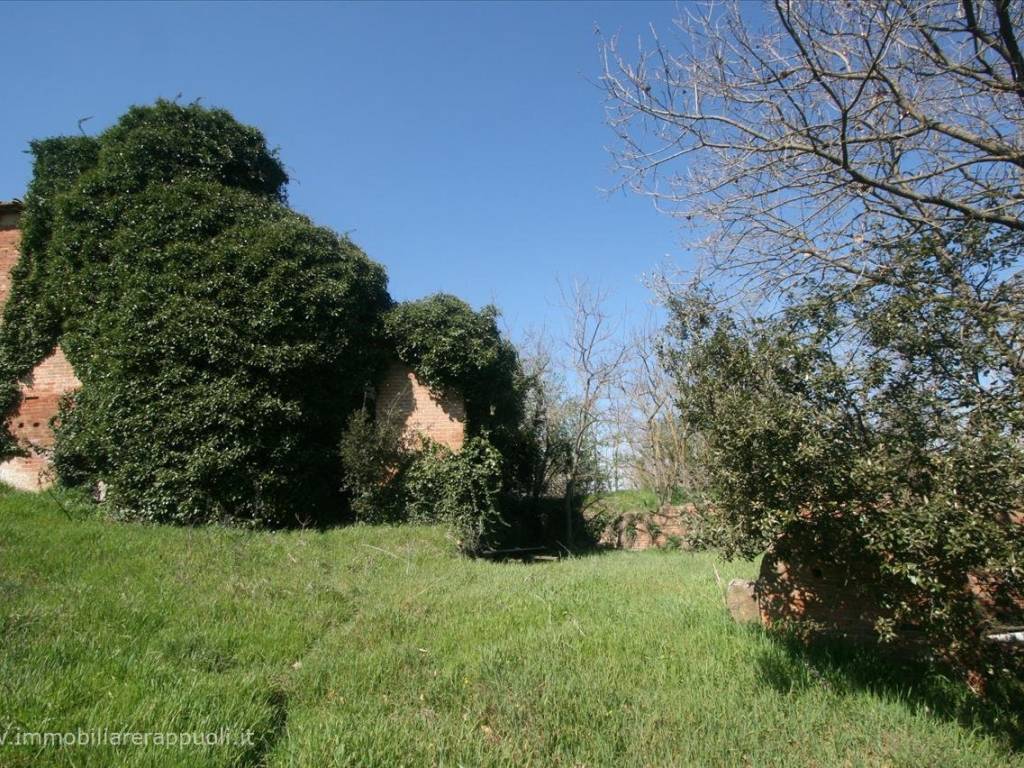 Rustico / casale a Montepulciano - Foto 4