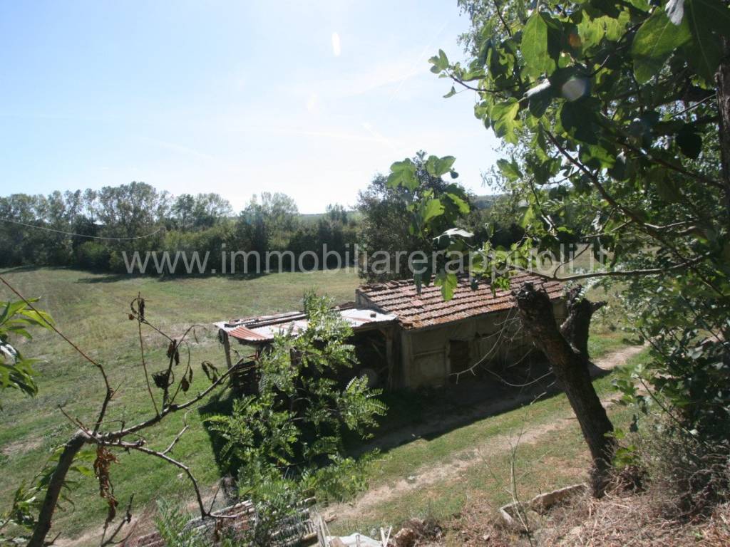 Rustico / casale a Montepulciano - Foto 4