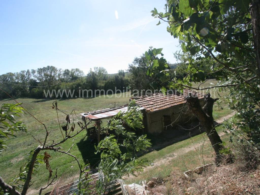 Rustico / casale a Montepulciano - Foto 5