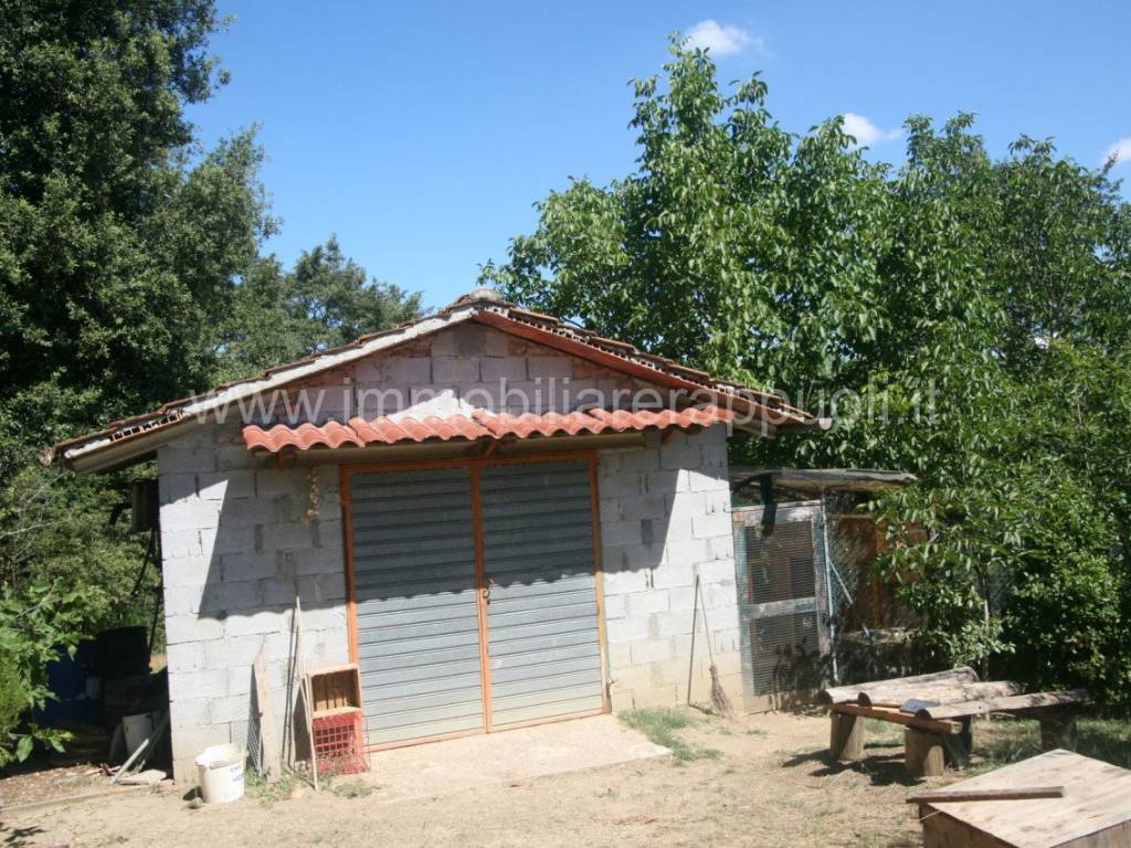 Rustico / casale a Sinalunga - Foto 2