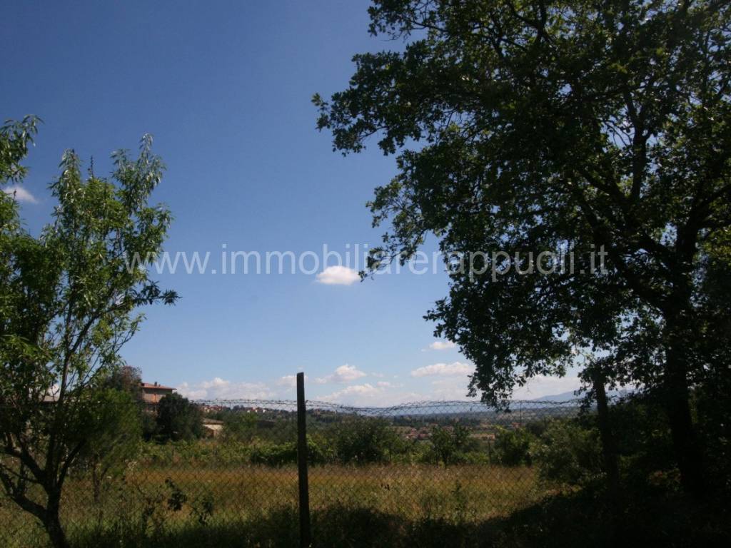 Rustico / casale a Sinalunga - Foto 3