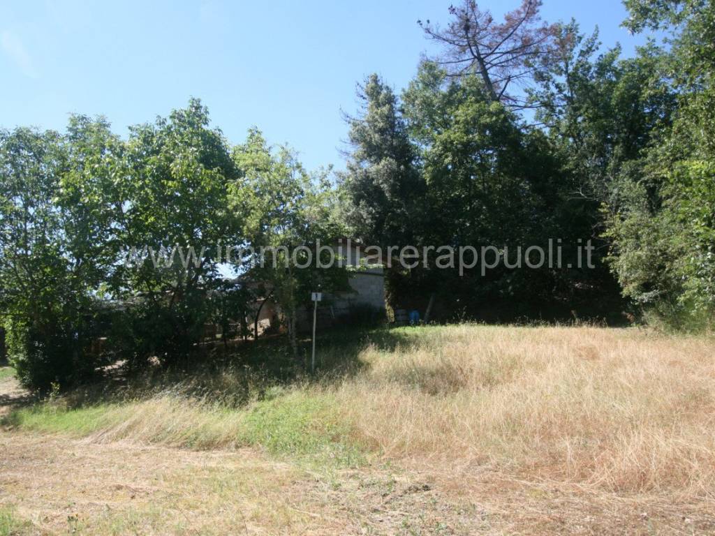 Rustico / casale a Sinalunga - Foto 4