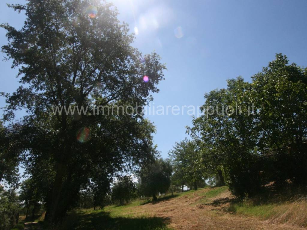 Rustico / casale a Sinalunga - Foto 5