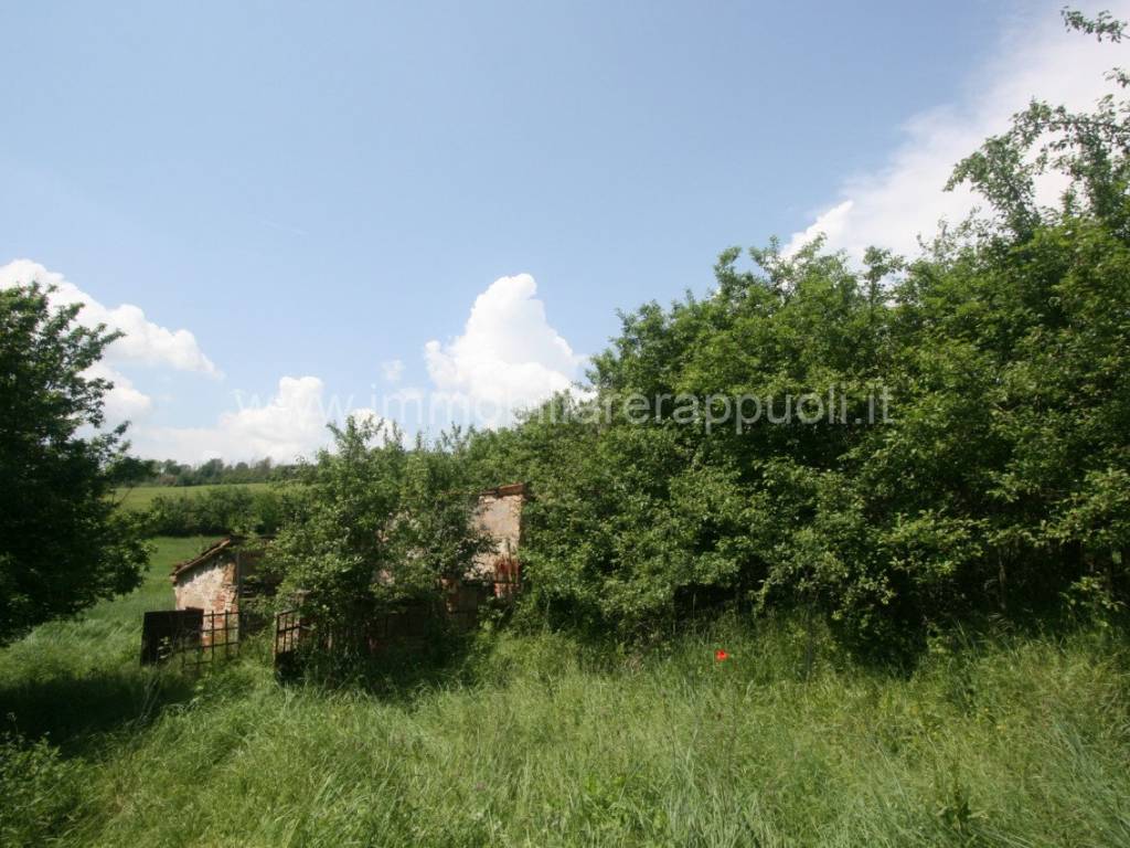 Rustico / casale a Torrita di siena - Foto 3