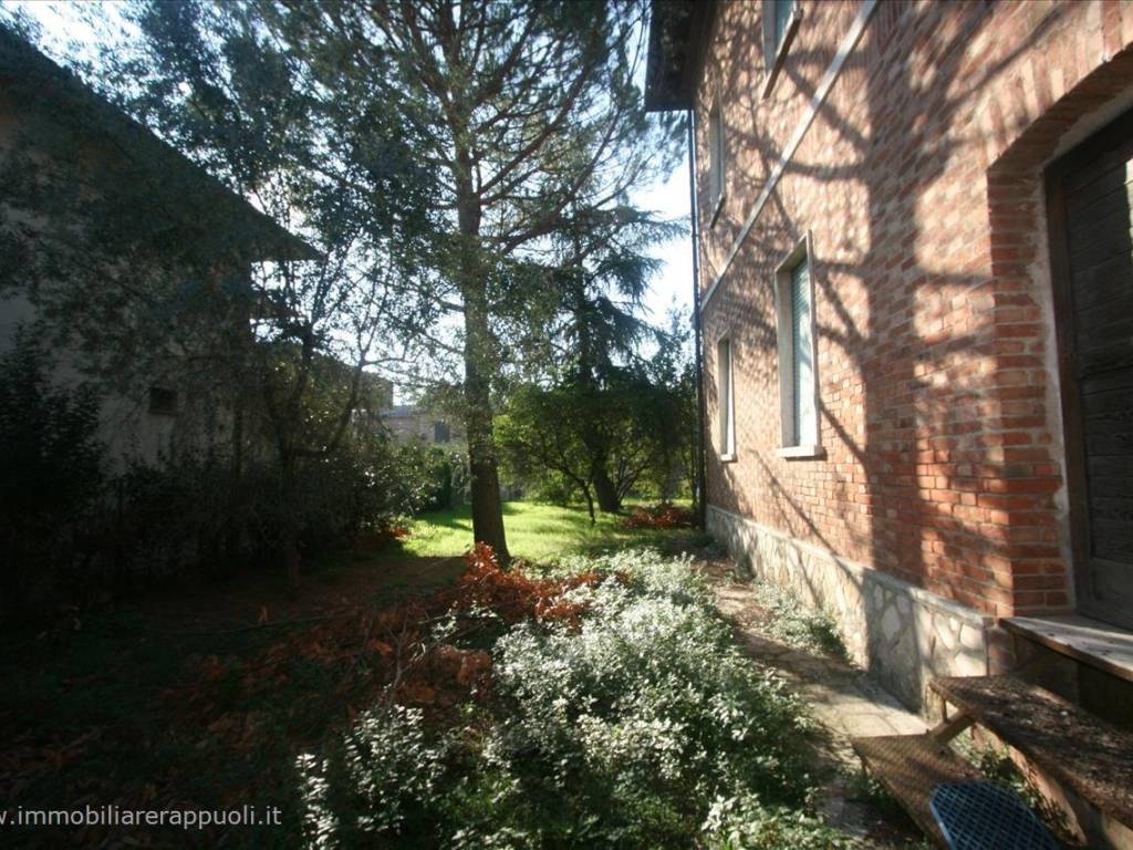 Casa indipendente a Torrita di siena - Foto 3
