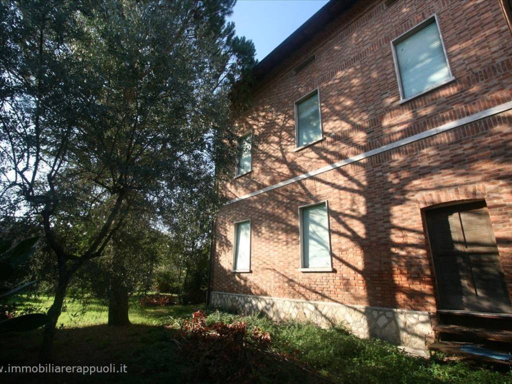 Casa indipendente a Torrita di siena - Foto 4