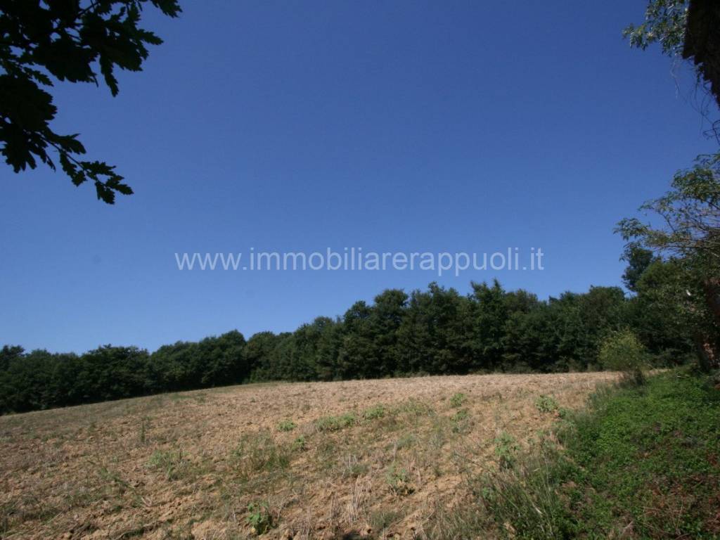 Rustico / casale a Lucignano - Foto 2