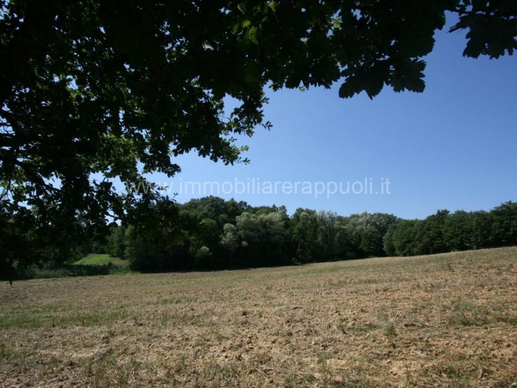 Rustico / casale a Lucignano - Foto 3