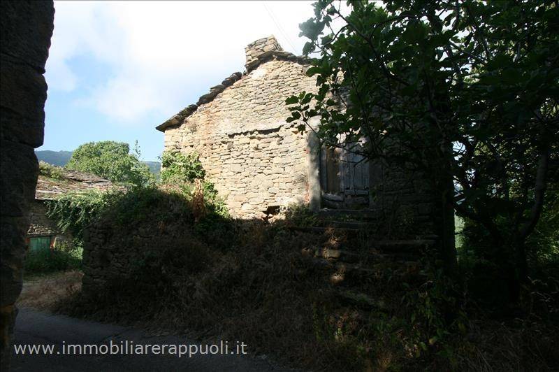 Rustico / casale a Cortona - Foto 3